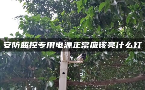 安防监控专用电源正常应该亮什么灯