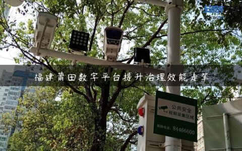 福建莆田数字平台提升治理效能走笔