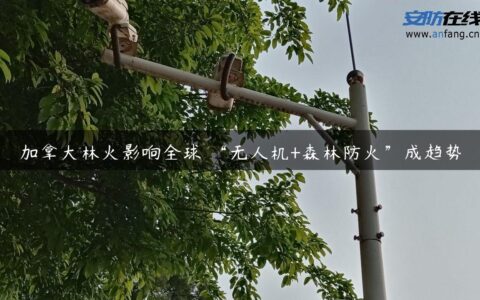 加拿大林火影响全球 “无人机+森林防火”成趋势