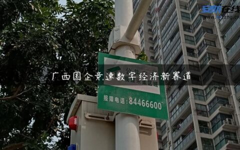 广西国企竞速数字经济新赛道