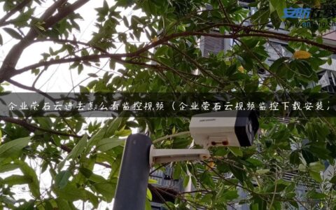 企业莹石云进去怎么看监控视频（企业萤石云视频监控下载安装）