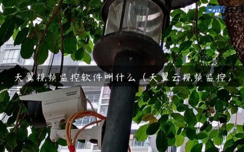 天翼视频监控软件叫什么（天翼云视频监控）