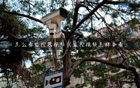 怎么看监控器视频（监控视频怎样查看）
