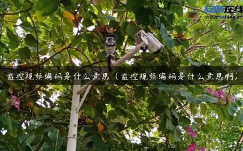 监控视频编码是什么意思（监控视频编码是什么意思啊）