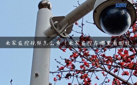 米家监控视频怎么看（米家监控在哪里看回放）