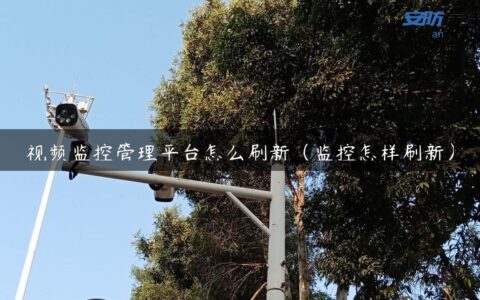 视频监控管理平台怎么刷新（监控怎样刷新）