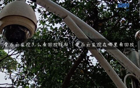 萤石云监控怎么看回放视频（萤石云监控在哪里看回放）