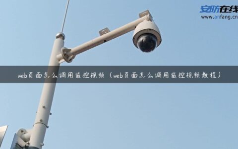 web页面怎么调用监控视频（web页面怎么调用监控视频教程）