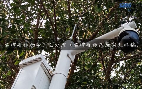 监控视频加密怎么处理（监控视频已加密怎样搞）