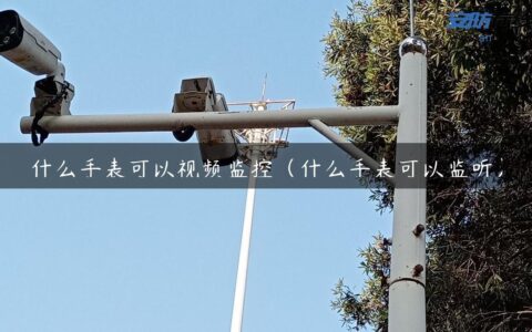 什么手表可以视频监控（什么手表可以监听）