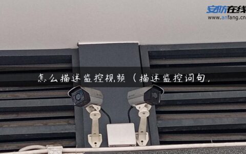 怎么描述监控视频（描述监控词句）