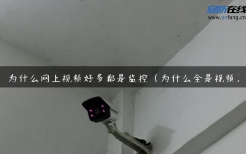 为什么网上视频好多都是监控（为什么全是视频）
