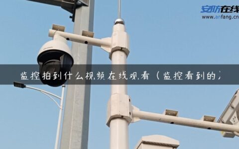 监控拍到什么视频在线观看（监控看到的）