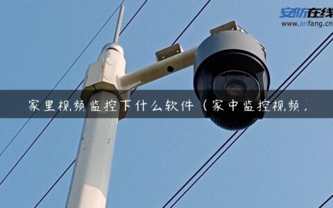 家里视频监控下什么软件（家中监控视频）