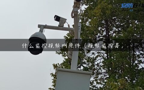 什么监控视频叫原件（视频监控是）