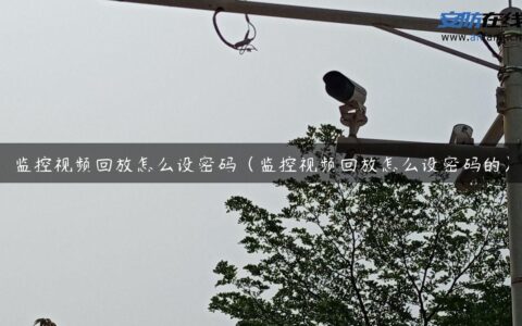 监控视频回放怎么设密码（监控视频回放怎么设密码的）