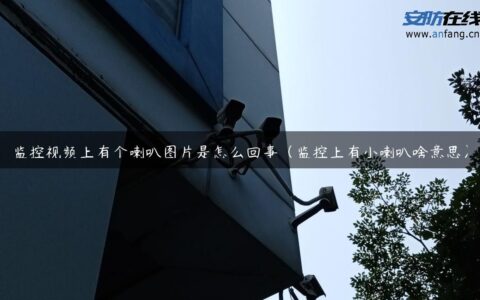 监控视频上有个喇叭图片是怎么回事（监控上有小喇叭啥意思）