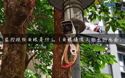 监控视频鱼眼是什么（鱼眼摄像头拍出的画面）