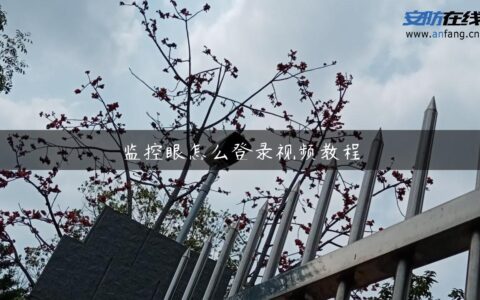 监控眼怎么登录视频教程