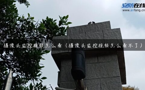 摄像头监控视频怎么看（摄像头监控视频怎么看不了）