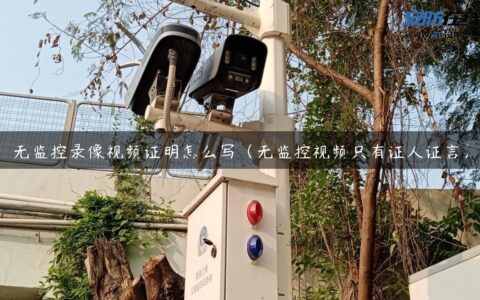 无监控录像视频证明怎么写（无监控视频只有证人证言）