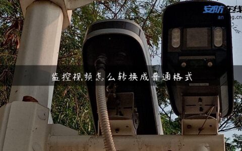 监控视频怎么转换成普通格式