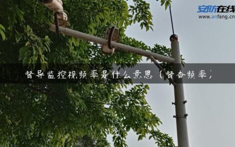 督导监控视频率是什么意思（督查频率）