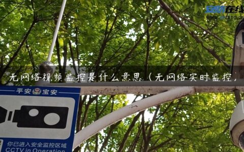 无网络视频监控是什么意思（无网络实时监控）
