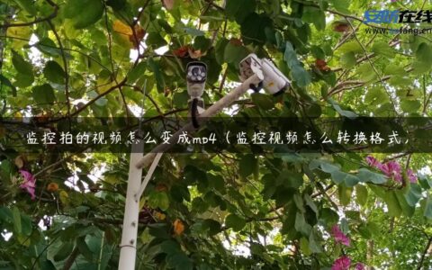 监控拍的视频怎么变成mp4（监控视频怎么转换格式）