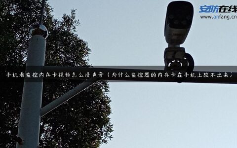 手机看监控内存卡视频怎么没声音（为什么监控器的内存卡在手机上放不出来）