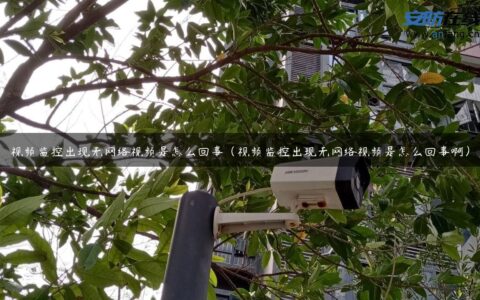 视频监控出现无网络视频是怎么回事（视频监控出现无网络视频是怎么回事啊）