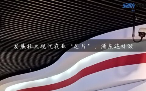 发展壮大现代农业“芯片”，浦东这样做