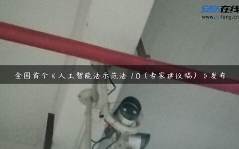 全国首个《人工智能法示范法 1.0（专家建议稿）》发布