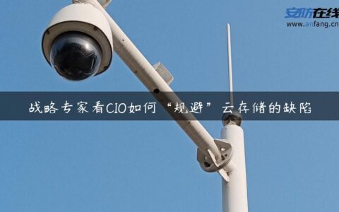 战略专家看CIO如何“规避”云存储的缺陷