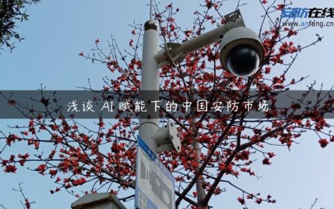浅谈 AI 赋能下的中国安防市场