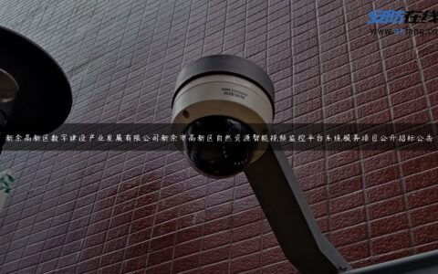 新余高新区数字建设产业发展有限公司新余市高新区自然资源智能视频监控平台系统服务项目公开招标公告