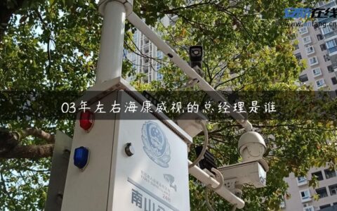 03年左右海康威视的总经理是谁