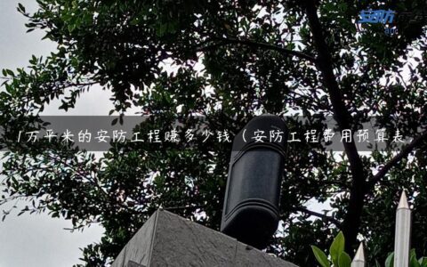 1万平米的安防工程赚多少钱（安防工程费用预算表）