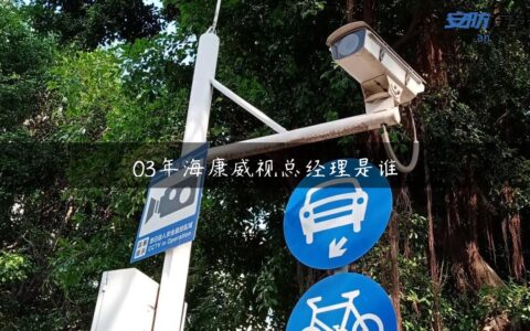 03年海康威视总经理是谁