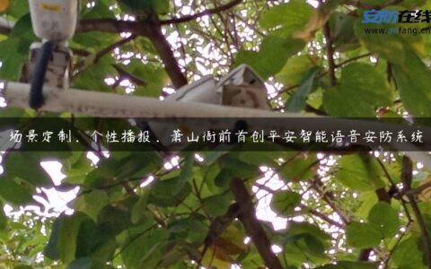 场景定制，个性播报，萧山衙前首创平安智能语音安防系统