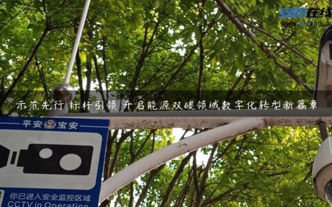 示范先行 标杆引领 开启能源双碳领域数字化转型新篇章