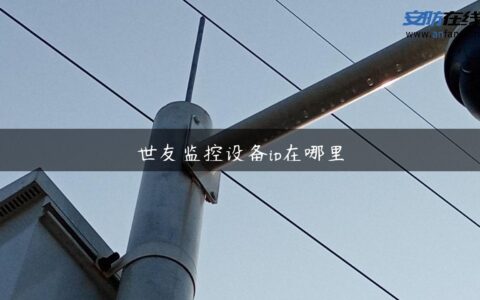 世友监控设备ip在哪里