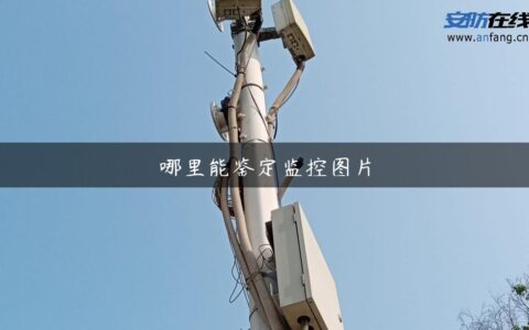 哪里能鉴定监控图片