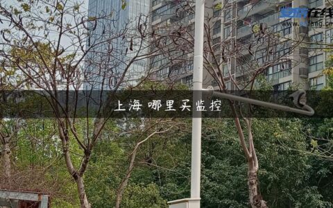 上海 哪里买监控