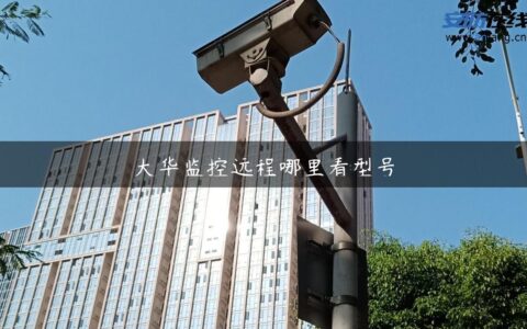 大华监控远程哪里看型号