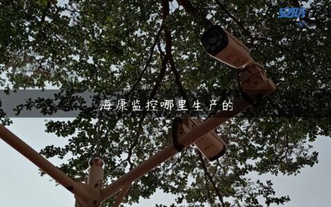 海康监控哪里生产的