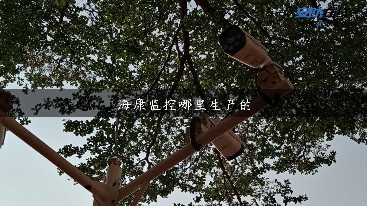 海康监控哪里生产的