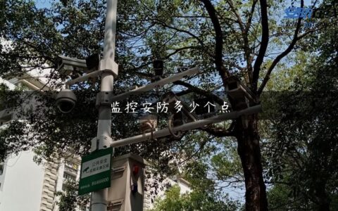 监控安防多少个点