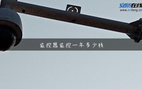 监控器监控一年多少钱