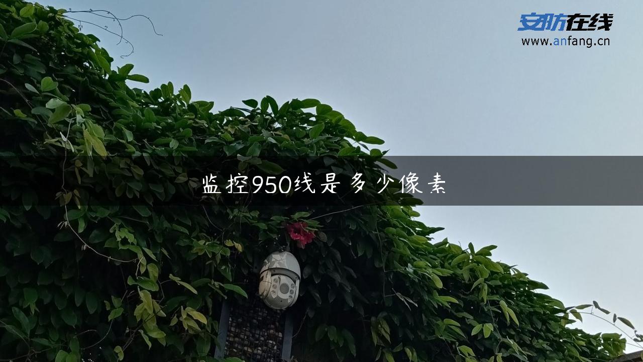 监控950线是多少像素